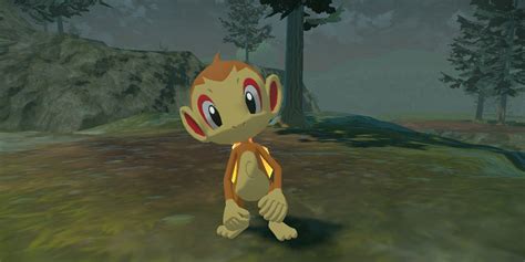 chimchar legends arceus.